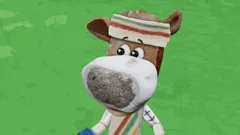 Lily's Driftwood Bay