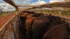 Aussie Road Train Truckers