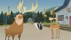 Open Season