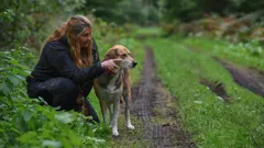 Alan Titchmarsh's Underdog to Superdog