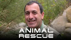 Animal Rescue