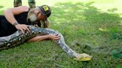 Guardians Of The Glades