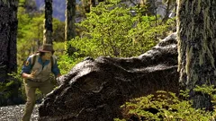 Andy's Dinosaur Adventures