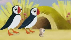 Puffin Rock (As Gaeilge)