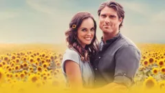 Love Stories in Sunflower Valley