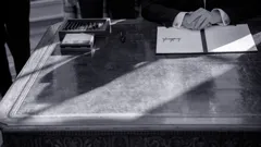 Trump's Power & the Rule...