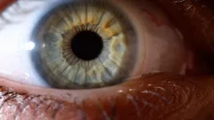 Evidence Of The Unexplained