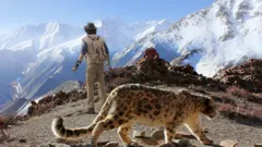 Andy's Safari Adventures