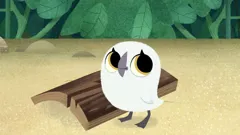 Puffin Rock