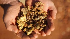 Aussie Gold Hunters