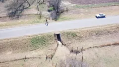 Bloodline Detectives