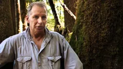 Curse of the Frozen Gold