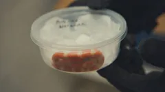 Border Force America's Gatekeepers