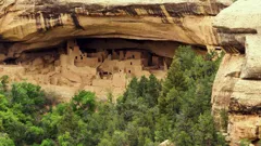 Abandoned Engineering