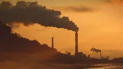 Leaders with Lacqua Goes Green