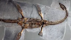 History's Greatest Mysteries