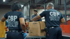 Airport Security USA