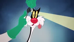 Looney Tunes Cartoons