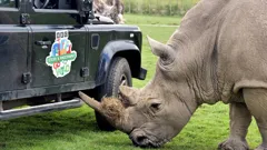 Steve and Aneeshwar Go Wild