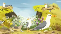 Puffin Rock (As Gaeilge)