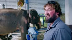 Baby Elephant Hospital