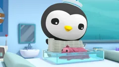 Octonauts