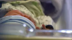 One Born Every Minute