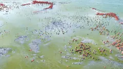 Planet Earth III