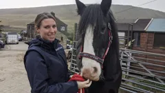 The Yorkshire Vet