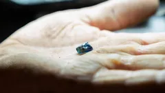 Gem Hunters Down Under