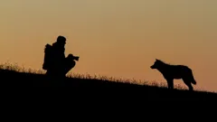 Snow Wolf Family and Me