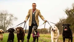 Dogs Behaving (Very) Badly