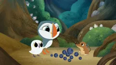 Puffin Rock