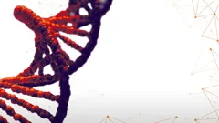 Bloodline Detectives