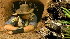 Andy's Dinosaur Adventures