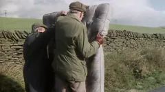 Last of the Summer Wine