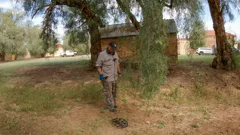 Treasure Hunters Down Under