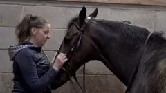 The Great House Giveaway