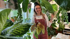 Alan Titchmarsh's Gardening Club