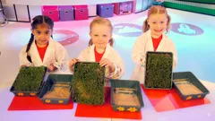 Nina and the Neurons