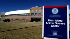 Conspiracy Files Unsealed