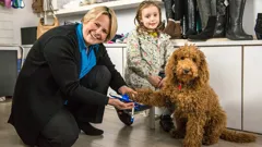 Waffle the Wonder Dog