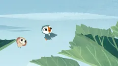 Puffin Rock (As Gaeilge)