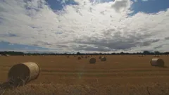 Escape to the Country