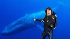 Andy's Aquatic Adventures