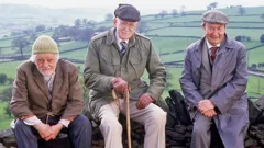 Last of the Summer Wine