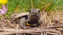 Andy's Global Adventures