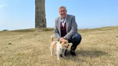 Dogs Behaving (Very) Badly