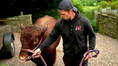 Fletchers' Family Farm