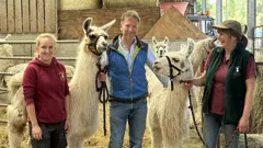 The Yorkshire Vet